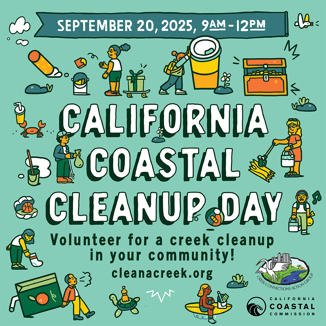 Community Cleanup 